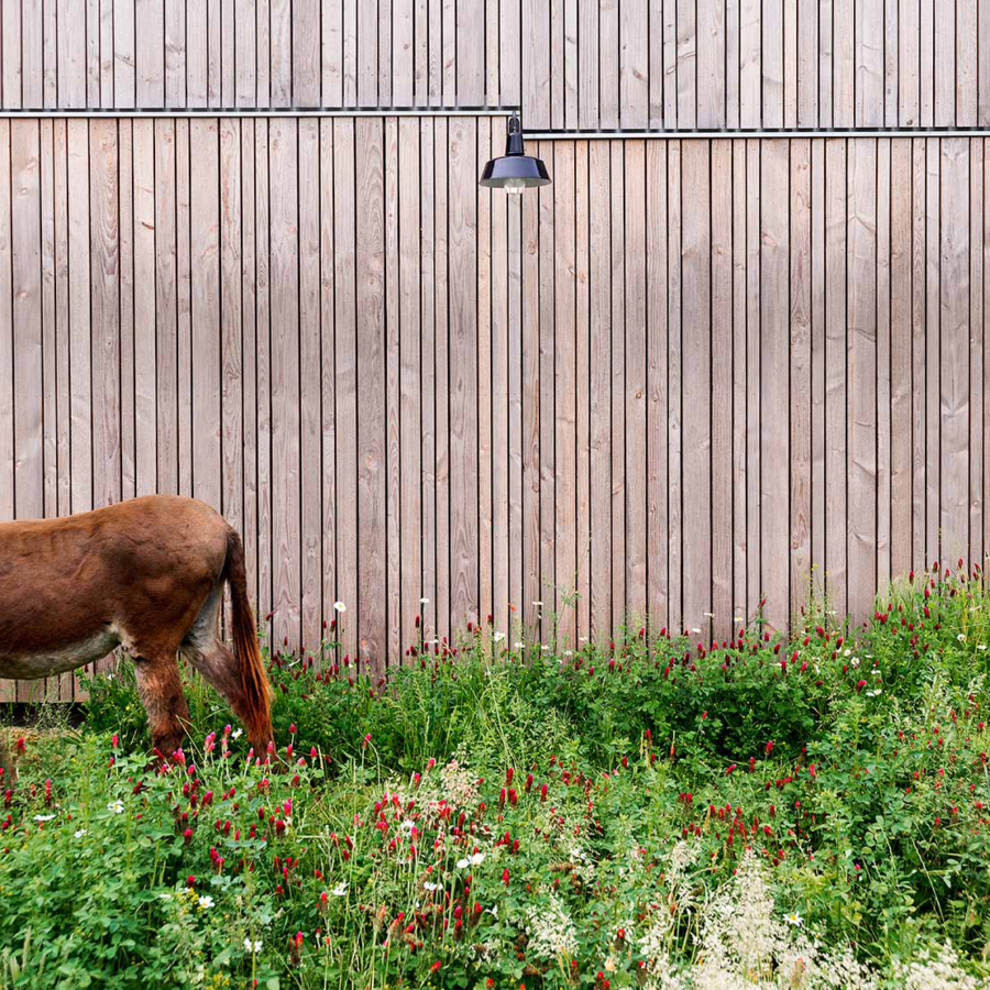 ck-hausnatur-6 SQ